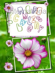 letter rubber bands photo