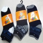 Cotton Socks Photo