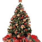 Christmas Tree Photo