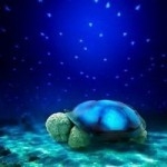 Cute Designs of Night Lamps Light 2 Photo