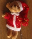 Red Christmas Bear Photo