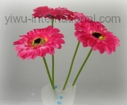 African Daisy Gerbera from Yiwu China Market