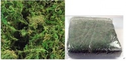 Yiwu Manufacturer Supply Simulation Flower Arrangement Material Green Moss,Fake Seaweed 