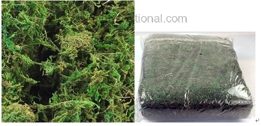 Yiwu Manufacturer Supply Simulation Flower Arrangement Material Green Moss,Fake  Seaweed