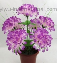Yiwu China Trade 7 Heads Daisy Dohlia Pinnata