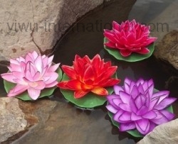 Yiwu Flower Producer sell 17cm Water Lily Pond Lily