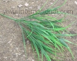 Yiwu Artificial Flower Trade 7 Stems Spring Grass