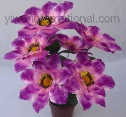 Yiwu China Flower Agent sell 7 Heads Silk Phalaenopsis