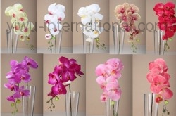 Yiwu Factory of Silk Flower sell verisimilitude Moth orchid