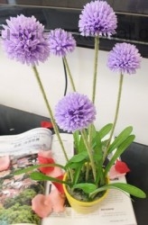 Yiwu China Agent of Artificial Flower sell 5 Heads Ballflower