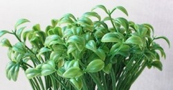 Yiwu China Wholesale of Artificial Flower sell 10 Stems Grass sprouts