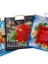 SPB-11 yiwu flower PP shopping bag