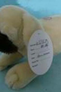 139-19 yiwu cute stuffed plush dog