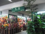 yiwu flower factory