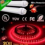 Yiwu LED Products Market