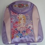 2012 New Style Shool Backpack