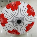 Japanese Umbrellas Made In Yiwu Well-received By Japan Market