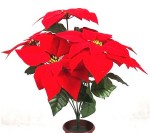 FCH-01 7 heads christmas flower photo