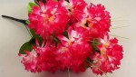 FCH-01 12 heads chrysanthemum rose red color