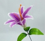 FLL-01 18CM single stem of lily purple color