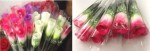 FR-09 single head valentine's day artificial rose color