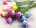 FT-01 3 heads tulip color