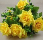 FR-37 silk rose photo