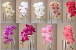 Yiwu Factory of Silk Flower sell verisimilitude Moth orchid