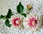 Yiwu Producer of Artificial Flower Sell 21 Heads Silk Rose