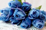 WS-02 blue rose photo