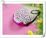 Particular Pitaya Reusable Bag of Storage Bag from Yiwu Wholesale Manufacturer
