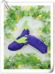 RFR-07 Eggplant Reuasble Shopping Bag (6) photo