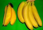 RFR-09 banana folding shopping bag (4) photo