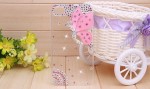 PC-03 angle butterfly iphone case photo