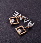 EA-17 Yiwu Earring photo