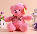 PT-31-12 19cm Yiwu Plush Toys Photo