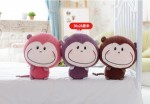 PT-36-02  21cm Yiwu Plush Toys photo