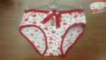 WU9322-02 Yiwu Women's Underwear Picture