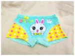 WU9404-08 Yiwu Fashion Underwear Cute Design