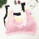 WU9523-13 Yiwu Fashion Underwear Bra